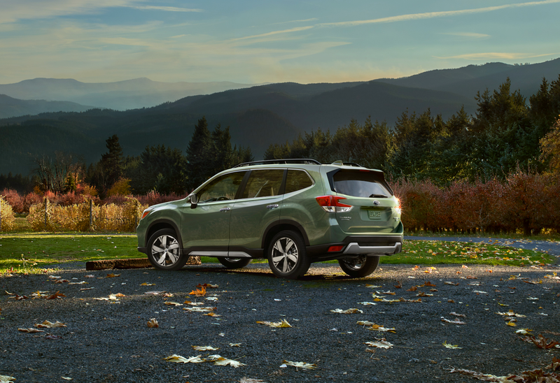 Illustration for article titled 2019 Forester - No, really.